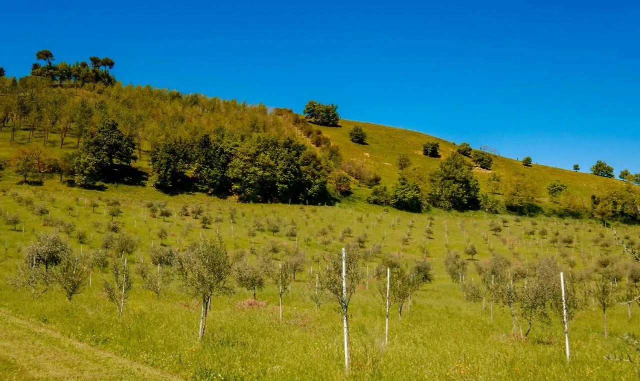 La Quercia - Bolognarooms Sasso Marconi Bed & Breakfast